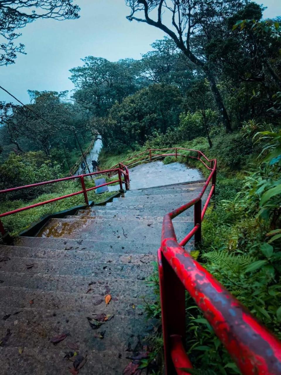 Dilani Adamspeak Riverstay Nallathanniya Εξωτερικό φωτογραφία